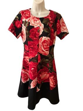 Enfocus Studio Fit and Flare Dress